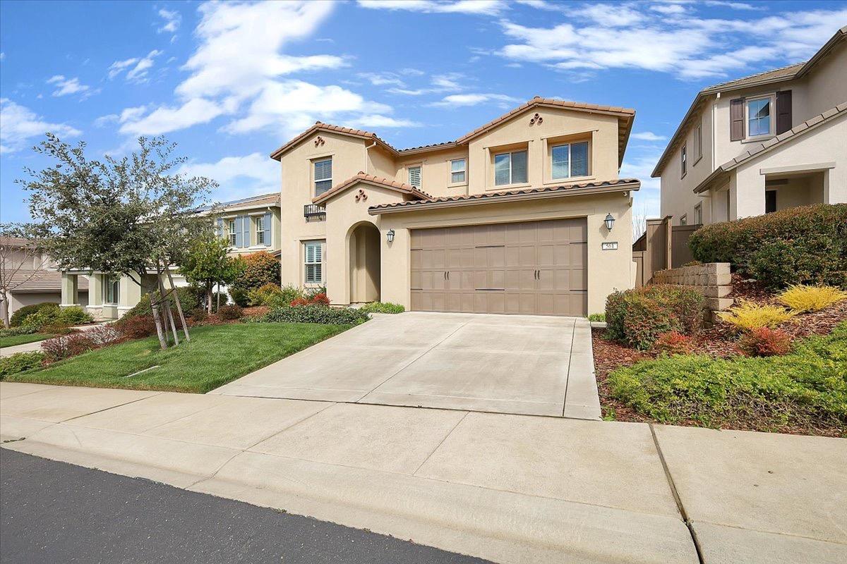 Laceneck, El Dorado Hills, California image 2