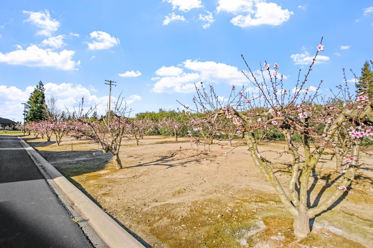 Detail Gallery Image 28 of 28 For 1500 Held Dr 103, Modesto,  CA 95355 - 2 Beds | 2 Baths