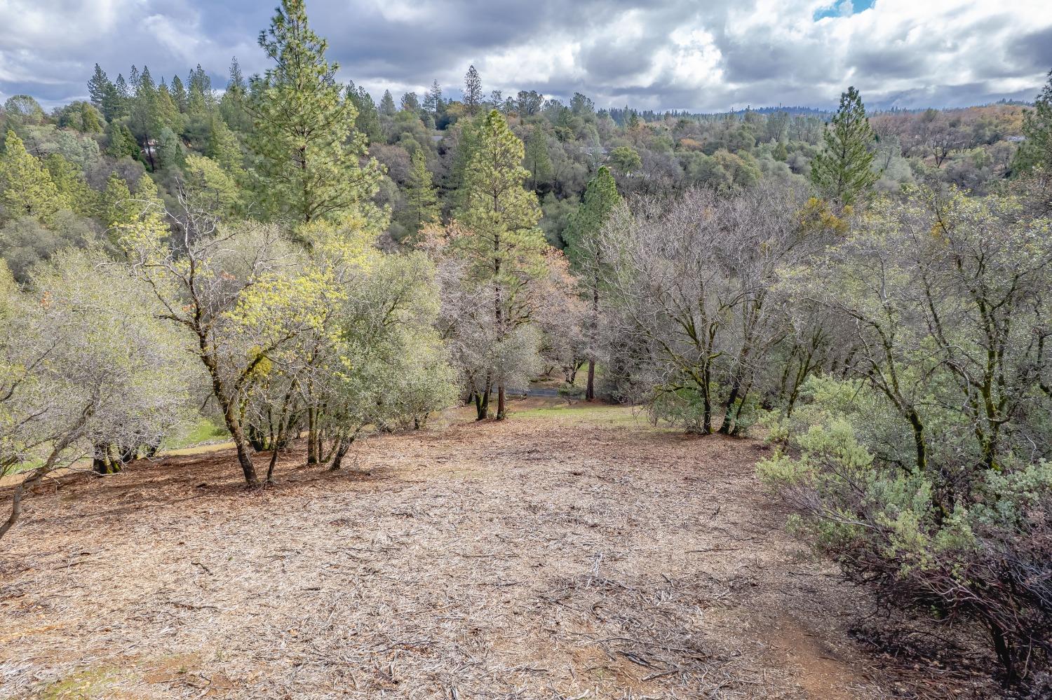 Detail Gallery Image 86 of 98 For 791 N Circle Dr, Diamond Springs,  CA 95619 - 6 Beds | 4/2 Baths