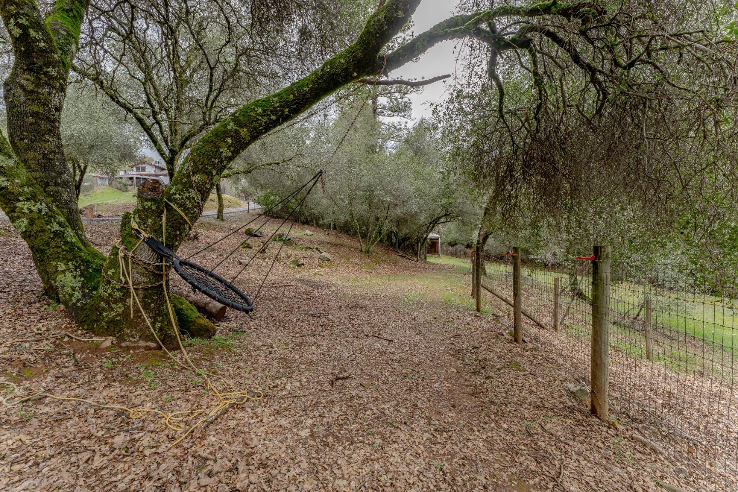 Detail Gallery Image 92 of 98 For 791 N Circle Dr, Diamond Springs,  CA 95619 - 6 Beds | 4/2 Baths