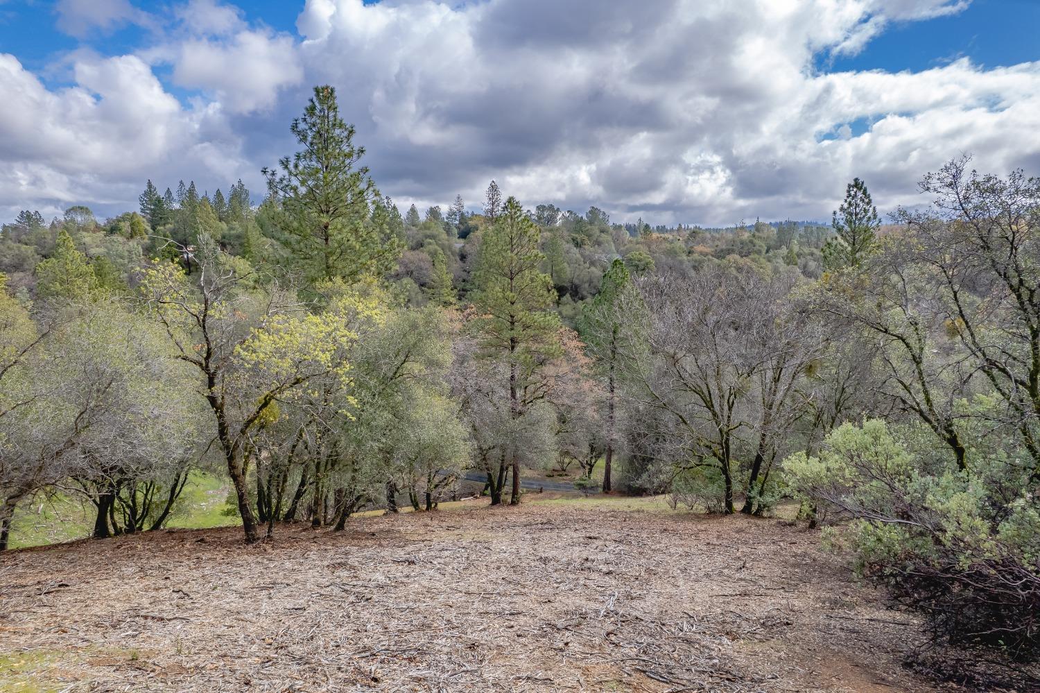 Detail Gallery Image 85 of 98 For 791 N Circle Dr, Diamond Springs,  CA 95619 - 6 Beds | 4/2 Baths