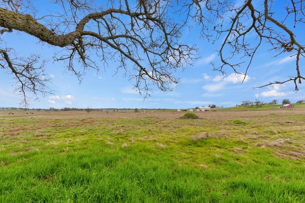 Detail Gallery Image 62 of 70 For 18664 Forest Home Rd, Plymouth,  CA 95669 - 3 Beds | 2/1 Baths