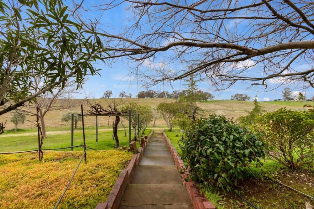 Detail Gallery Image 5 of 70 For 18664 Forest Home Rd, Plymouth,  CA 95669 - 3 Beds | 2/1 Baths