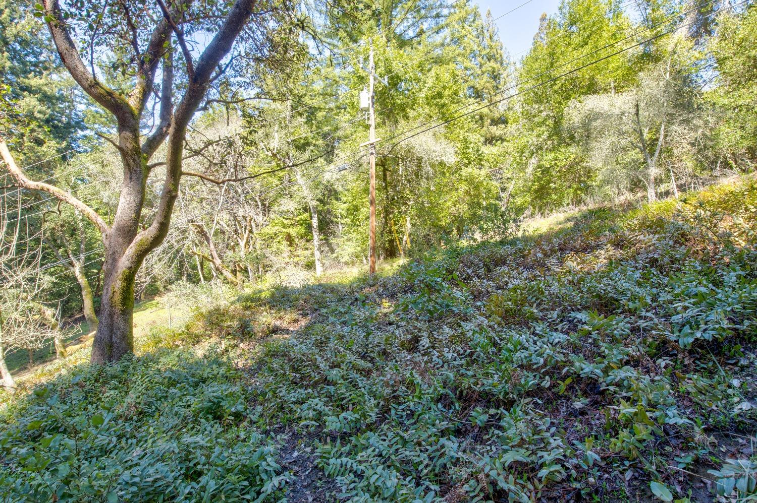 Detail Gallery Image 59 of 73 For 505 Glenwood Cutoff, Scotts Valley,  CA 95066 - 4 Beds | 2 Baths