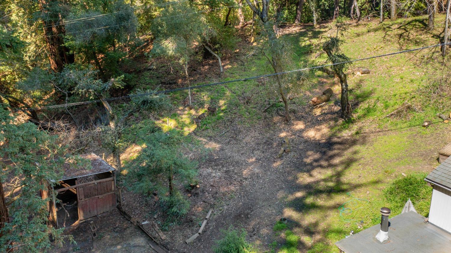 Detail Gallery Image 66 of 73 For 505 Glenwood Cutoff, Scotts Valley,  CA 95066 - 4 Beds | 2 Baths