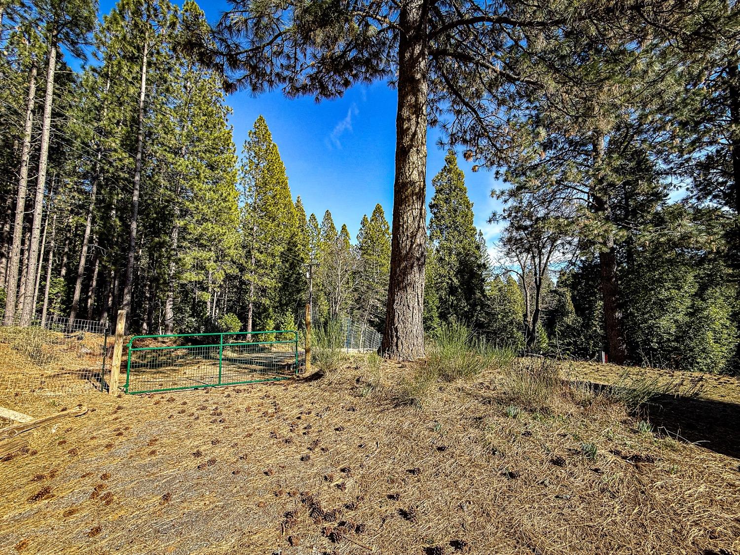 Detail Gallery Image 55 of 56 For 111 Alaska Peak Rd Rd, North San Juan,  CA 95960 - 3 Beds | 2 Baths