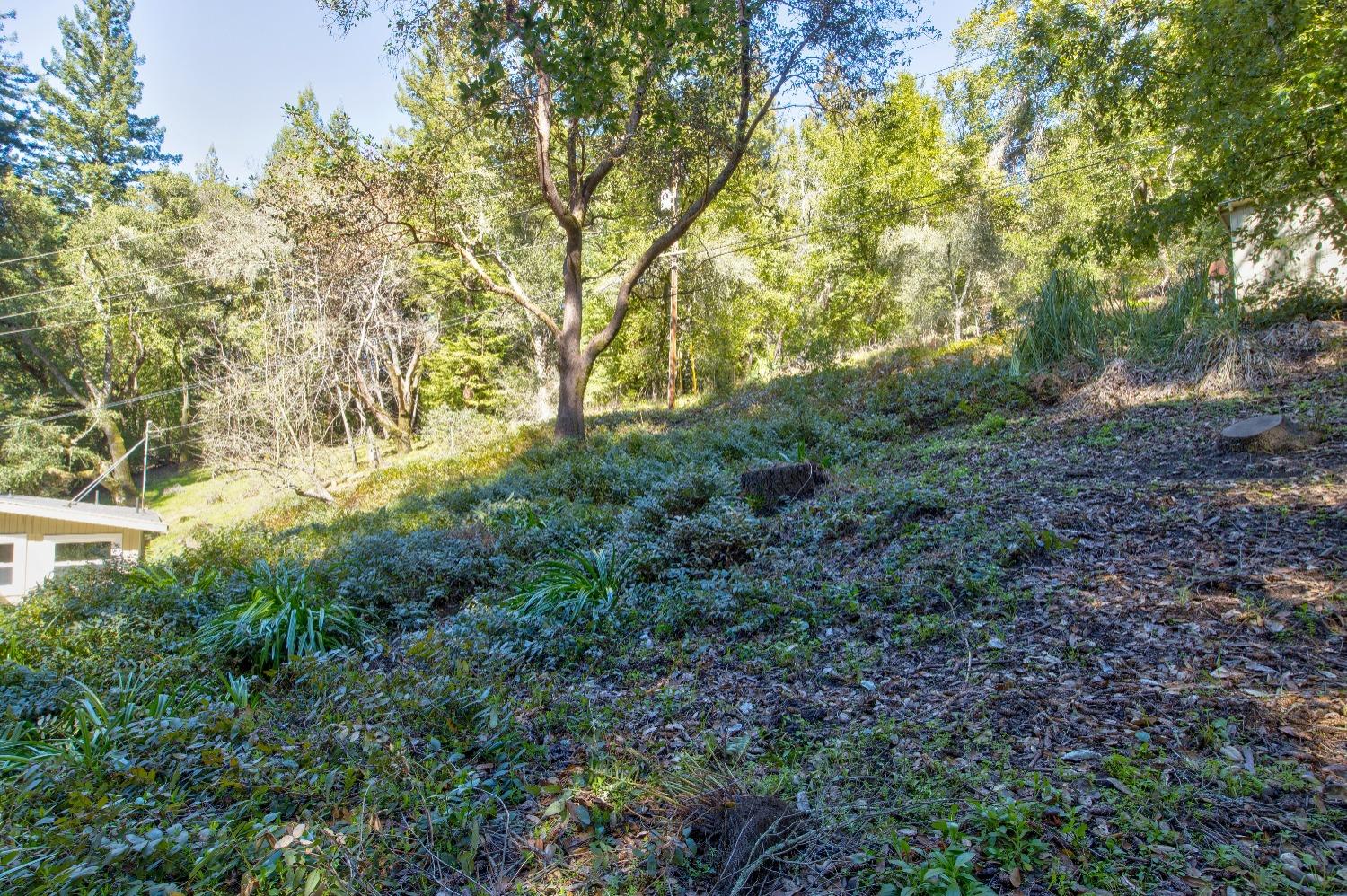 Detail Gallery Image 57 of 73 For 505 Glenwood Cutoff, Scotts Valley,  CA 95066 - 4 Beds | 2 Baths