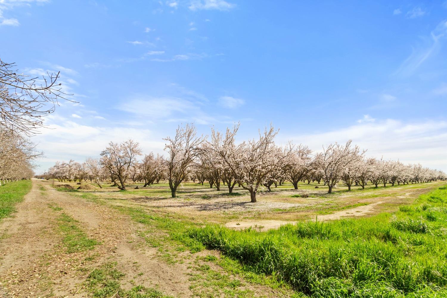 E Whitmore, Hughson, California image 18