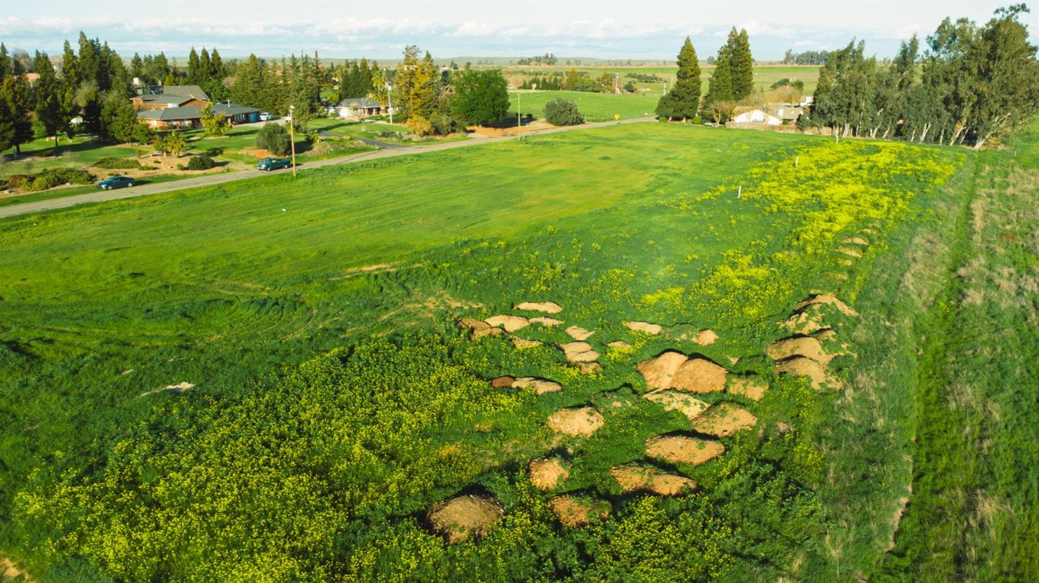 Farmland Avenue, Merced, California image 6