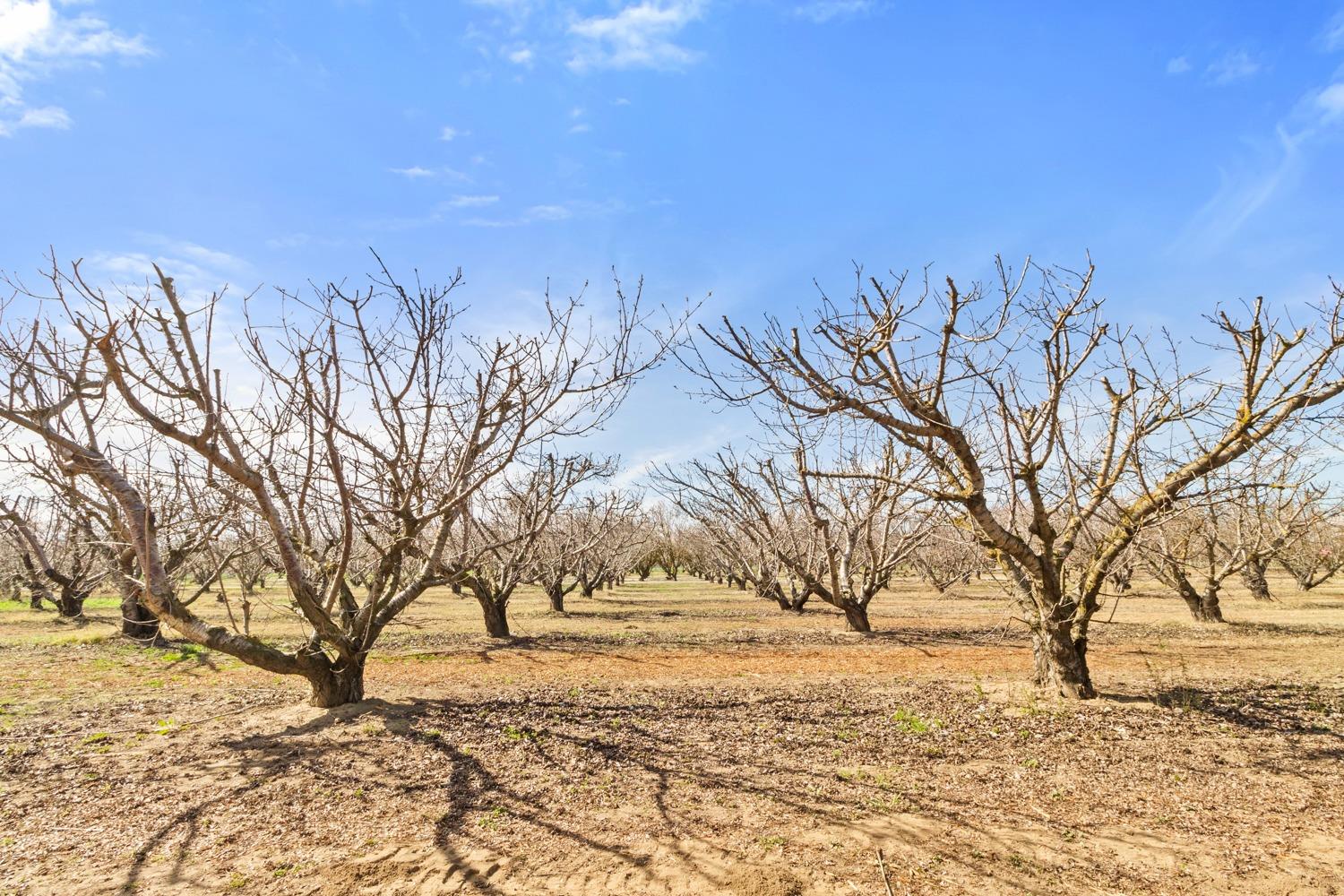 E Whitmore, Hughson, California image 32