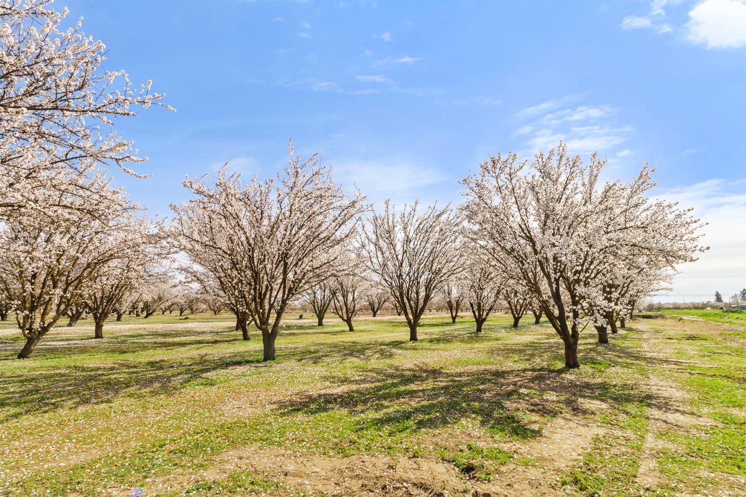 E Whitmore, Hughson, California image 20