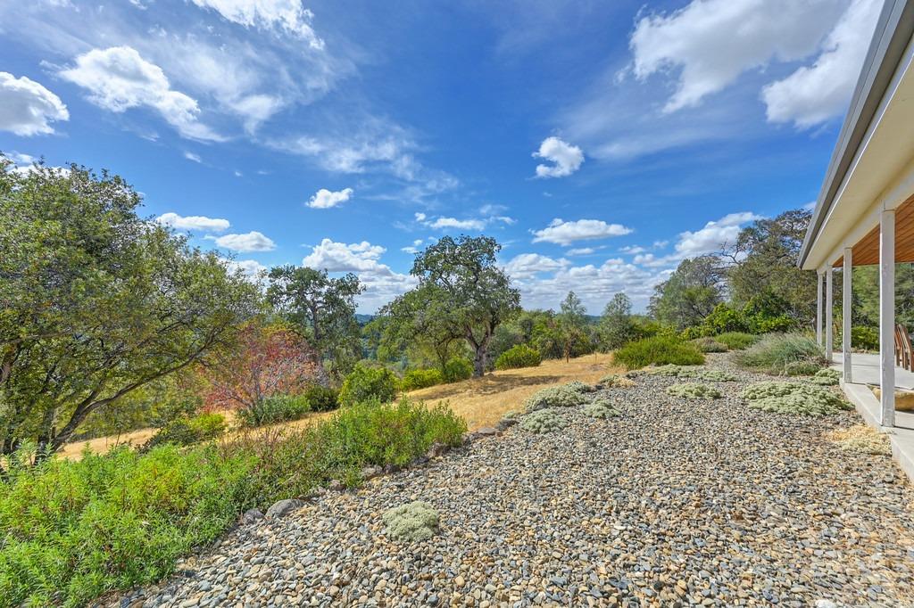 Detail Gallery Image 60 of 97 For 17041 Hale Rd, Fiddletown,  CA 95629 - 3 Beds | 3 Baths