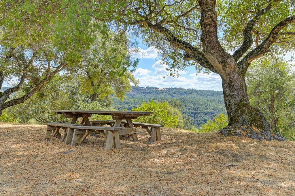 Detail Gallery Image 65 of 97 For 17041 Hale Rd, Fiddletown,  CA 95629 - 3 Beds | 3 Baths