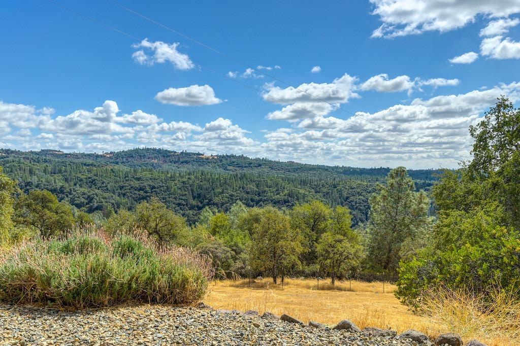 Detail Gallery Image 61 of 97 For 17041 Hale Rd, Fiddletown,  CA 95629 - 3 Beds | 3 Baths