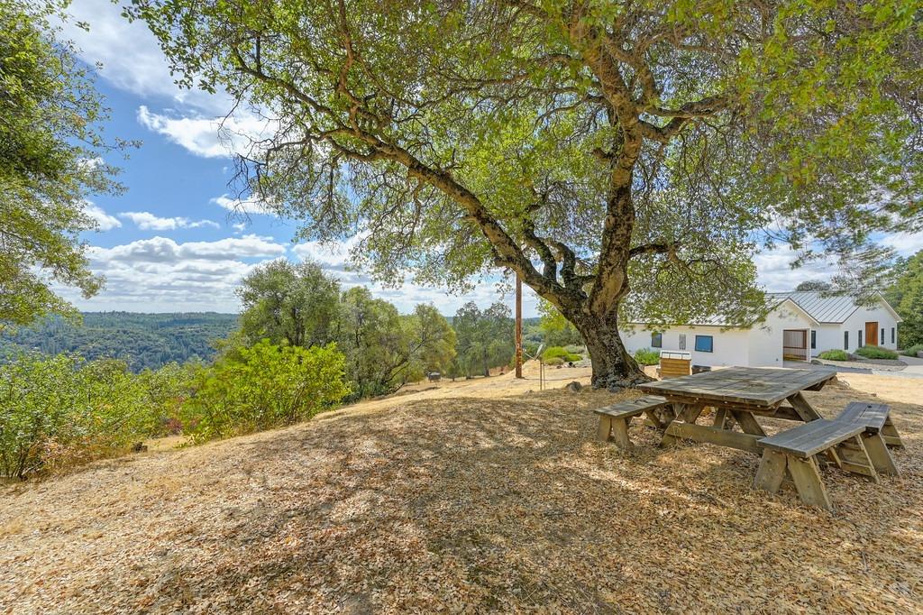 Detail Gallery Image 67 of 97 For 17041 Hale Rd, Fiddletown,  CA 95629 - 3 Beds | 3 Baths