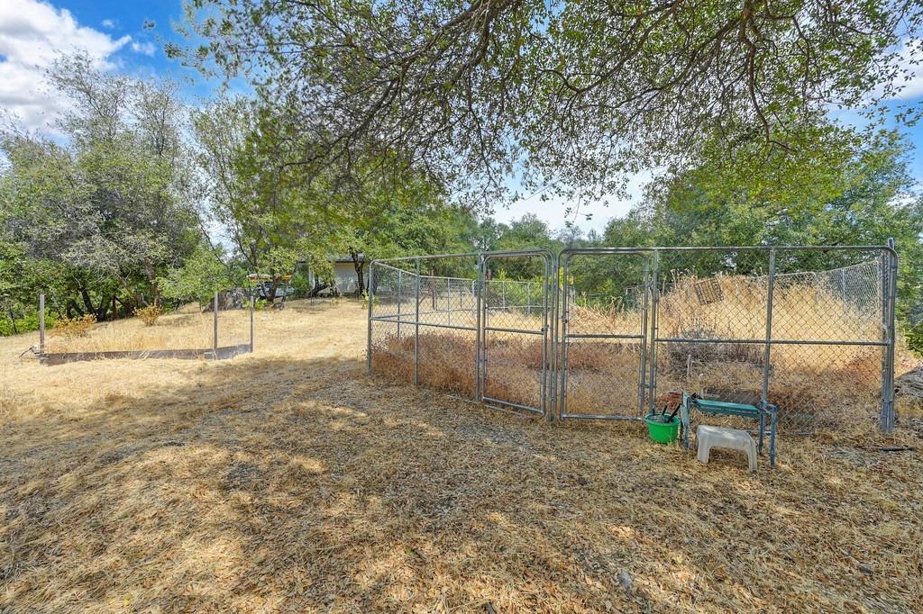 Detail Gallery Image 88 of 97 For 17041 Hale Rd, Fiddletown,  CA 95629 - 3 Beds | 3 Baths