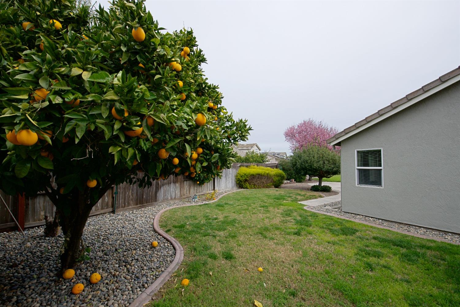 Detail Gallery Image 29 of 29 For 4312 Mondavi Ct, Stockton,  CA 95206 - 3 Beds | 2 Baths