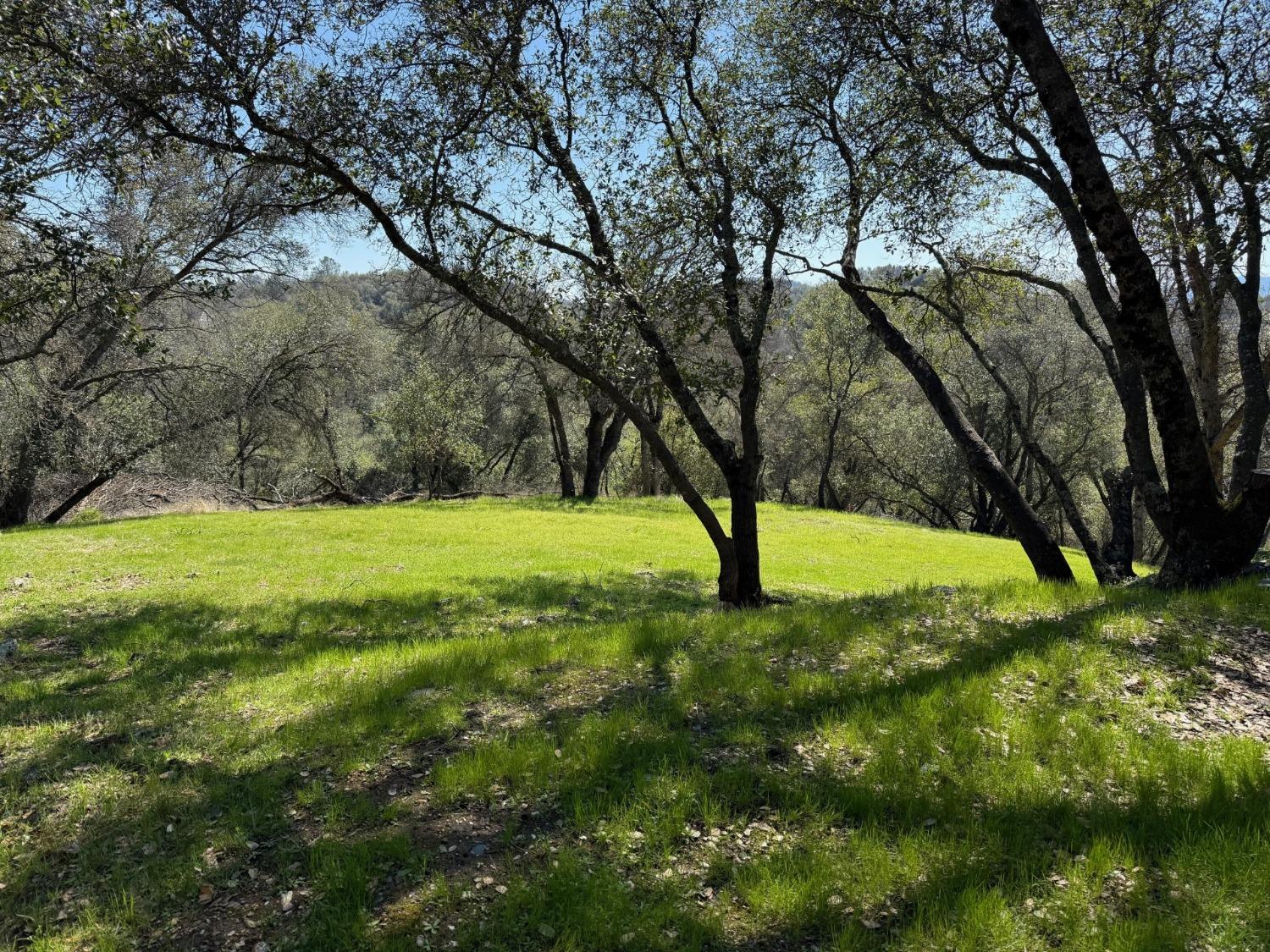 Albasio Court, Angels Camp, California image 1