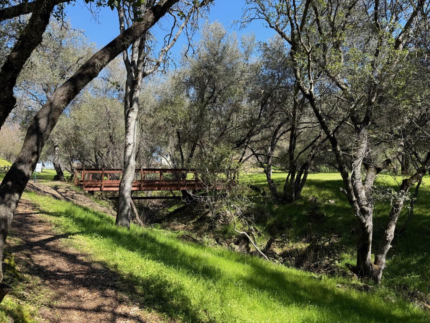 Albasio Court, Angels Camp, California image 7