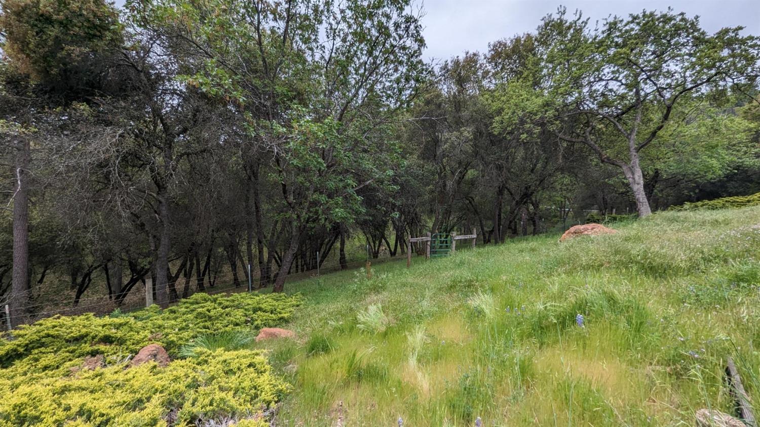 Detail Gallery Image 67 of 88 For 8209 Mountain Meadow Dr, Mountain Ranch,  CA 95246 - 3 Beds | 2/1 Baths