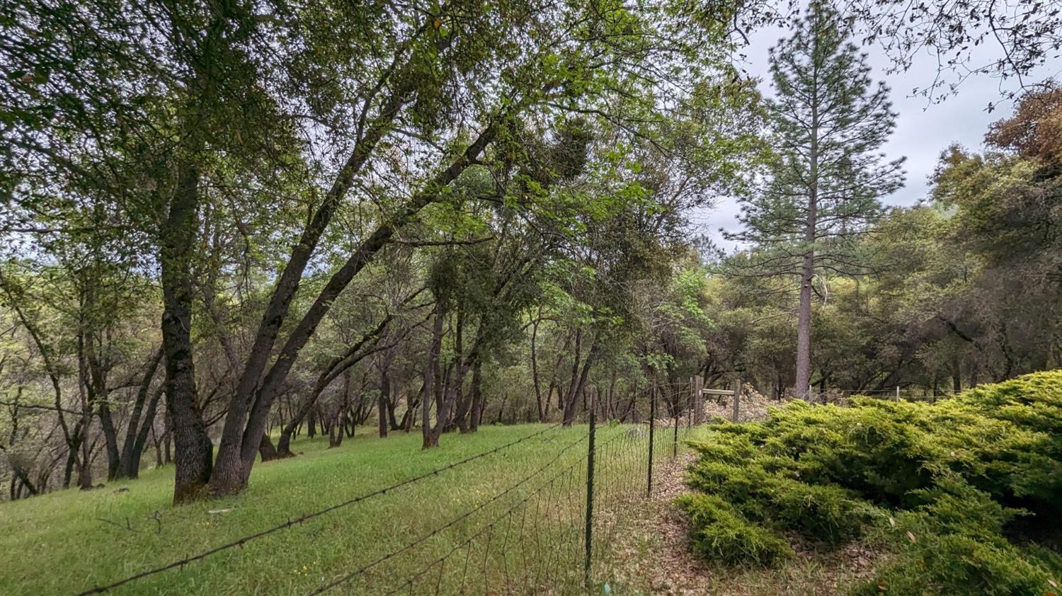 Detail Gallery Image 65 of 88 For 8209 Mountain Meadow Dr, Mountain Ranch,  CA 95246 - 3 Beds | 2/1 Baths