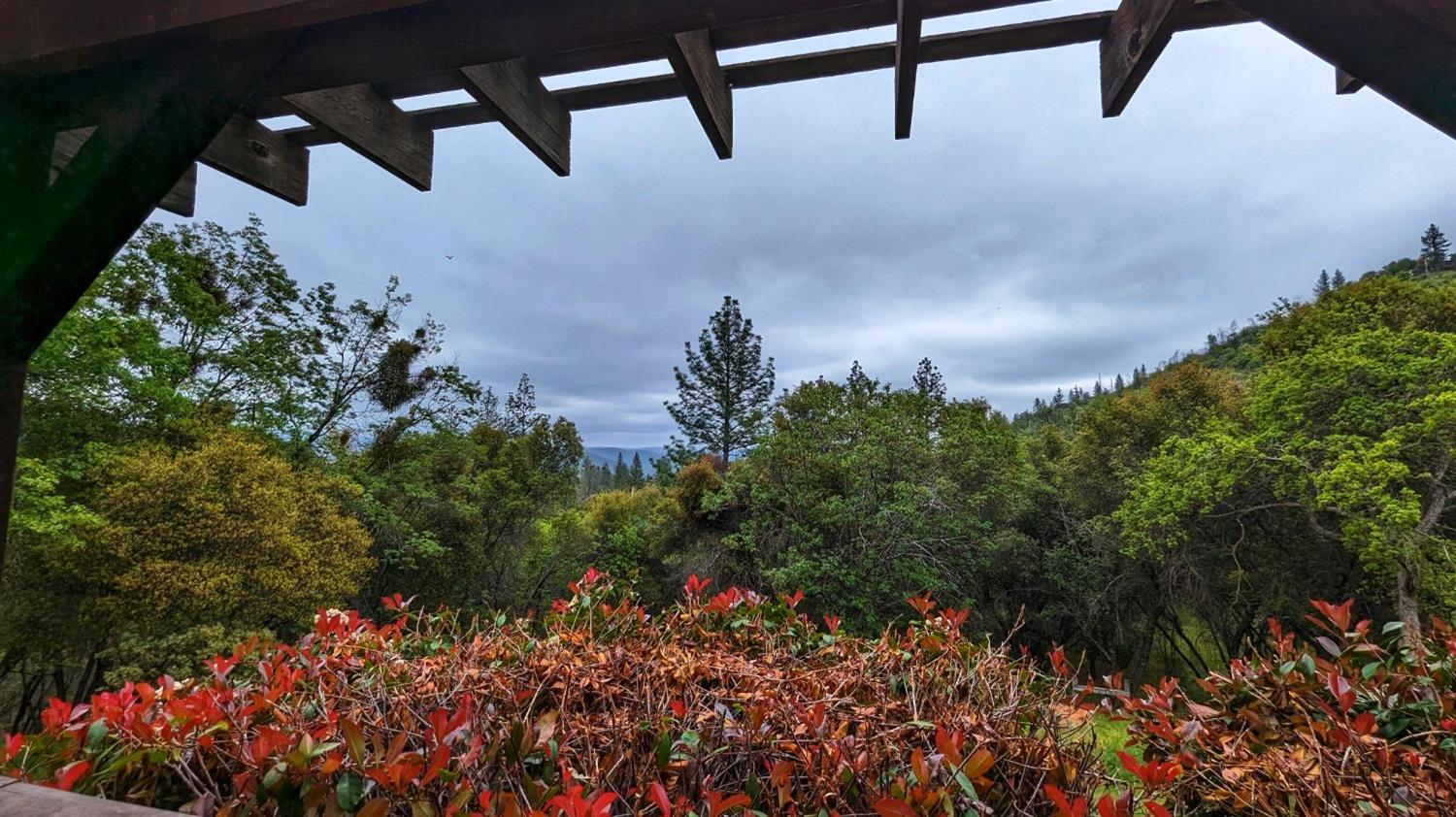 Detail Gallery Image 7 of 88 For 8209 Mountain Meadow Dr, Mountain Ranch,  CA 95246 - 3 Beds | 2/1 Baths