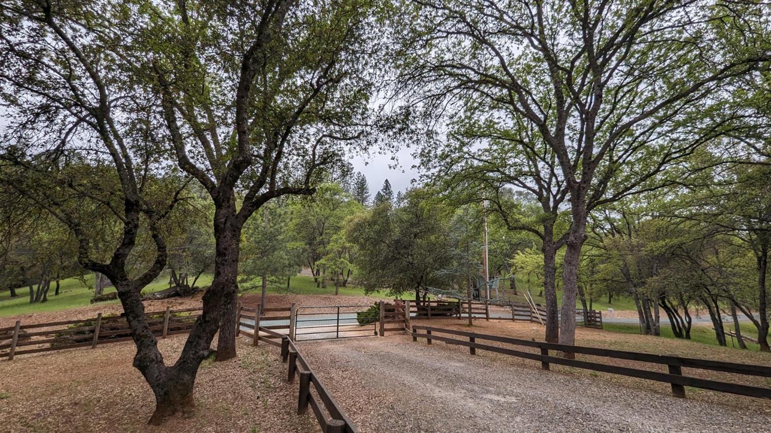 Detail Gallery Image 50 of 88 For 8209 Mountain Meadow Dr, Mountain Ranch,  CA 95246 - 3 Beds | 2/1 Baths
