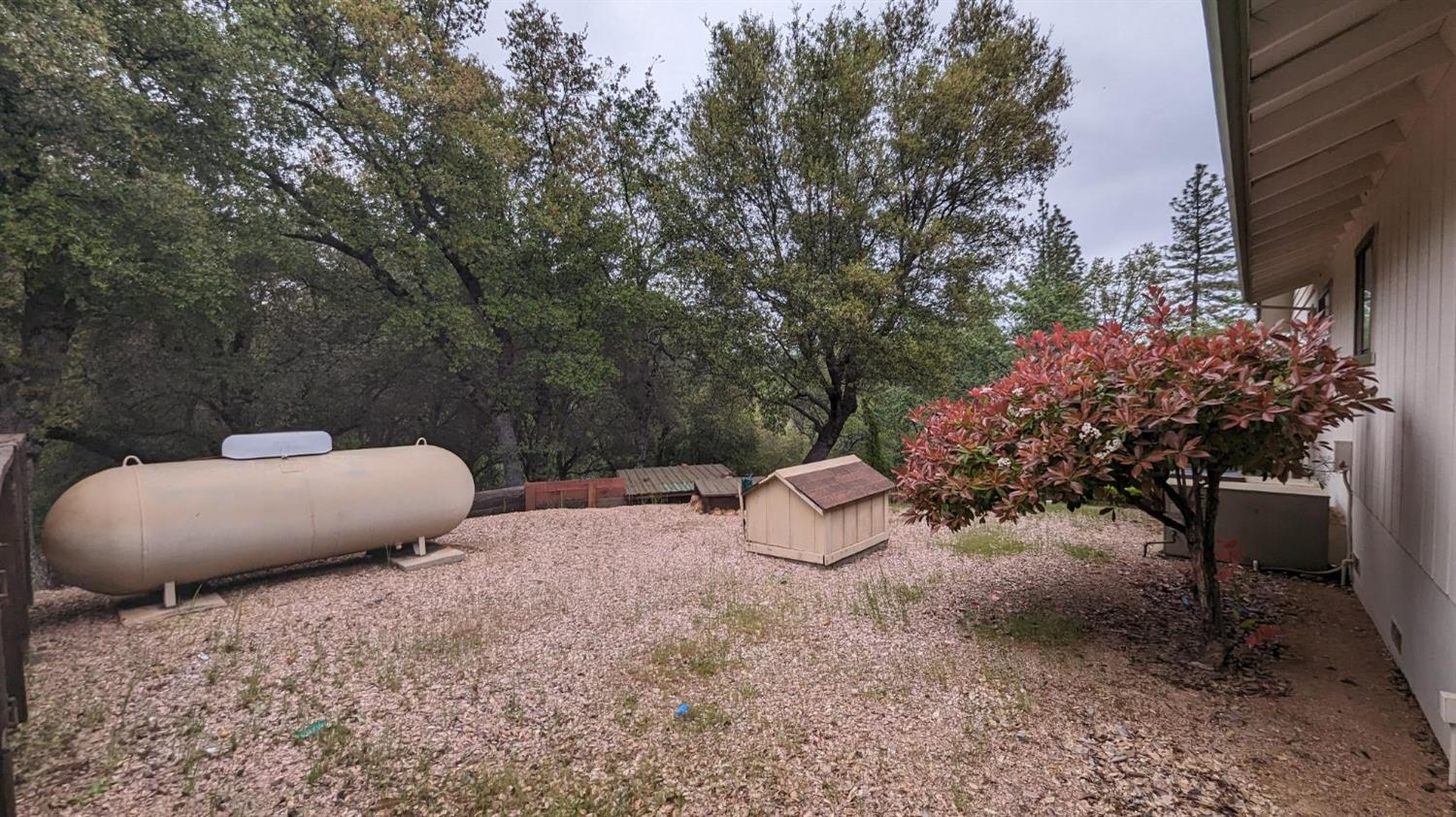 Detail Gallery Image 77 of 88 For 8209 Mountain Meadow Dr, Mountain Ranch,  CA 95246 - 3 Beds | 2/1 Baths