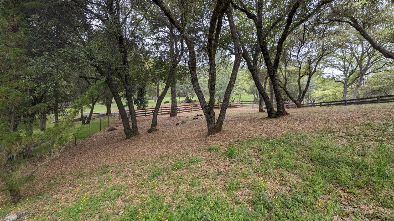 Detail Gallery Image 81 of 88 For 8209 Mountain Meadow Dr, Mountain Ranch,  CA 95246 - 3 Beds | 2/1 Baths