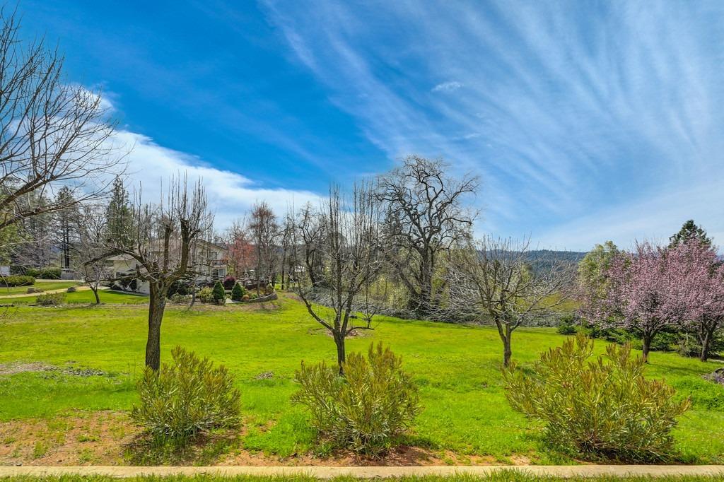 Detail Gallery Image 55 of 84 For 3690 Camino Hills Dr, Camino,  CA 95709 - 3 Beds | 2/1 Baths
