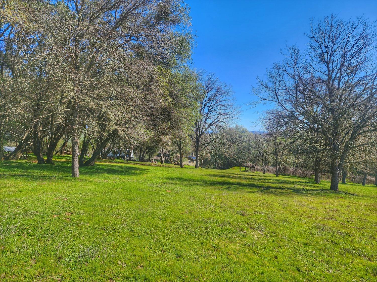 Detail Gallery Image 55 of 61 For 5001 Nance Dr, Pilot Hill,  CA 95664 - 3 Beds | 3 Baths