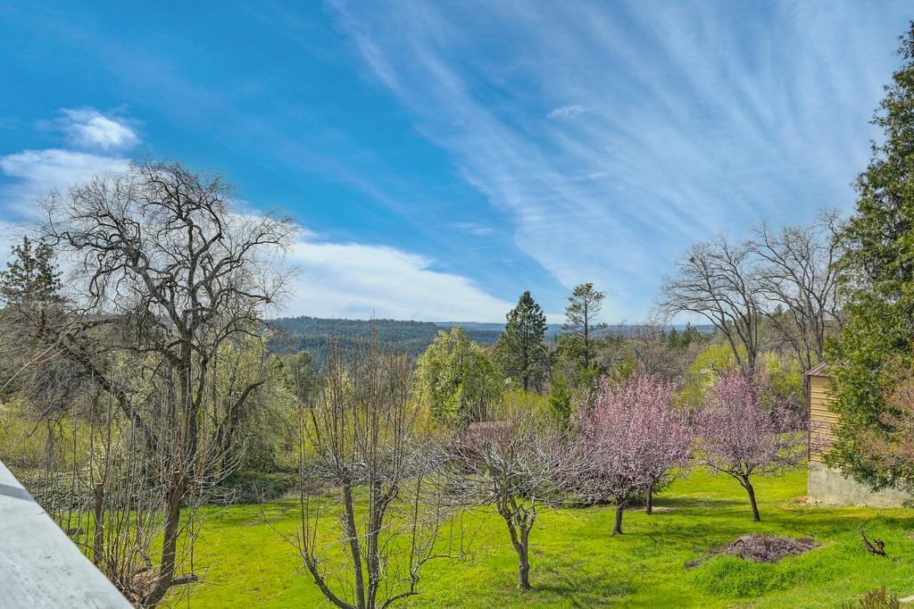 Detail Gallery Image 64 of 84 For 3690 Camino Hills Dr, Camino,  CA 95709 - 3 Beds | 2/1 Baths