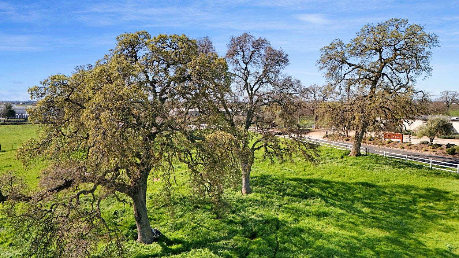Detail Gallery Image 23 of 71 For 18940 Atkins Rd, Lodi,  CA 95240 - 2 Beds | 1 Baths