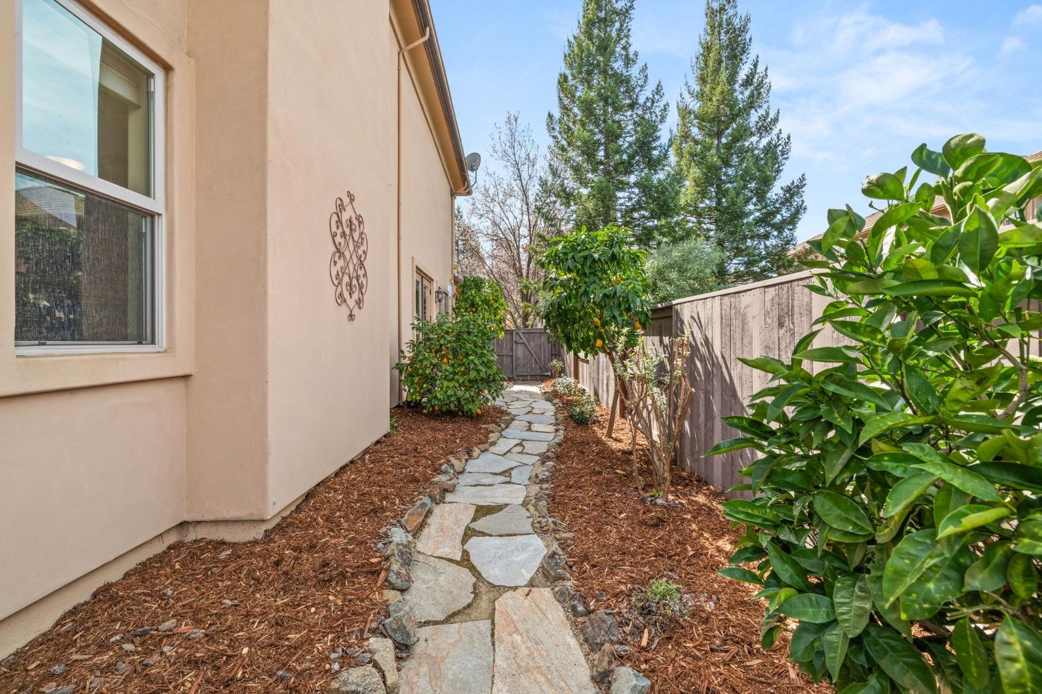 Corsica Drive, El Dorado Hills, California image 49