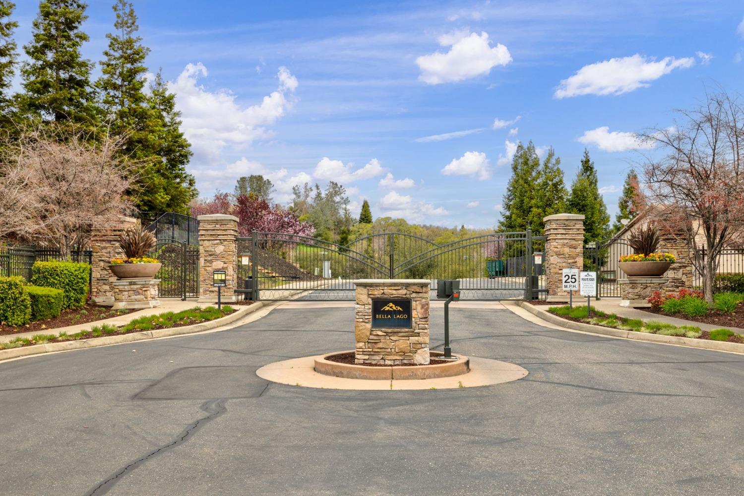 Corsica Drive, El Dorado Hills, California image 8