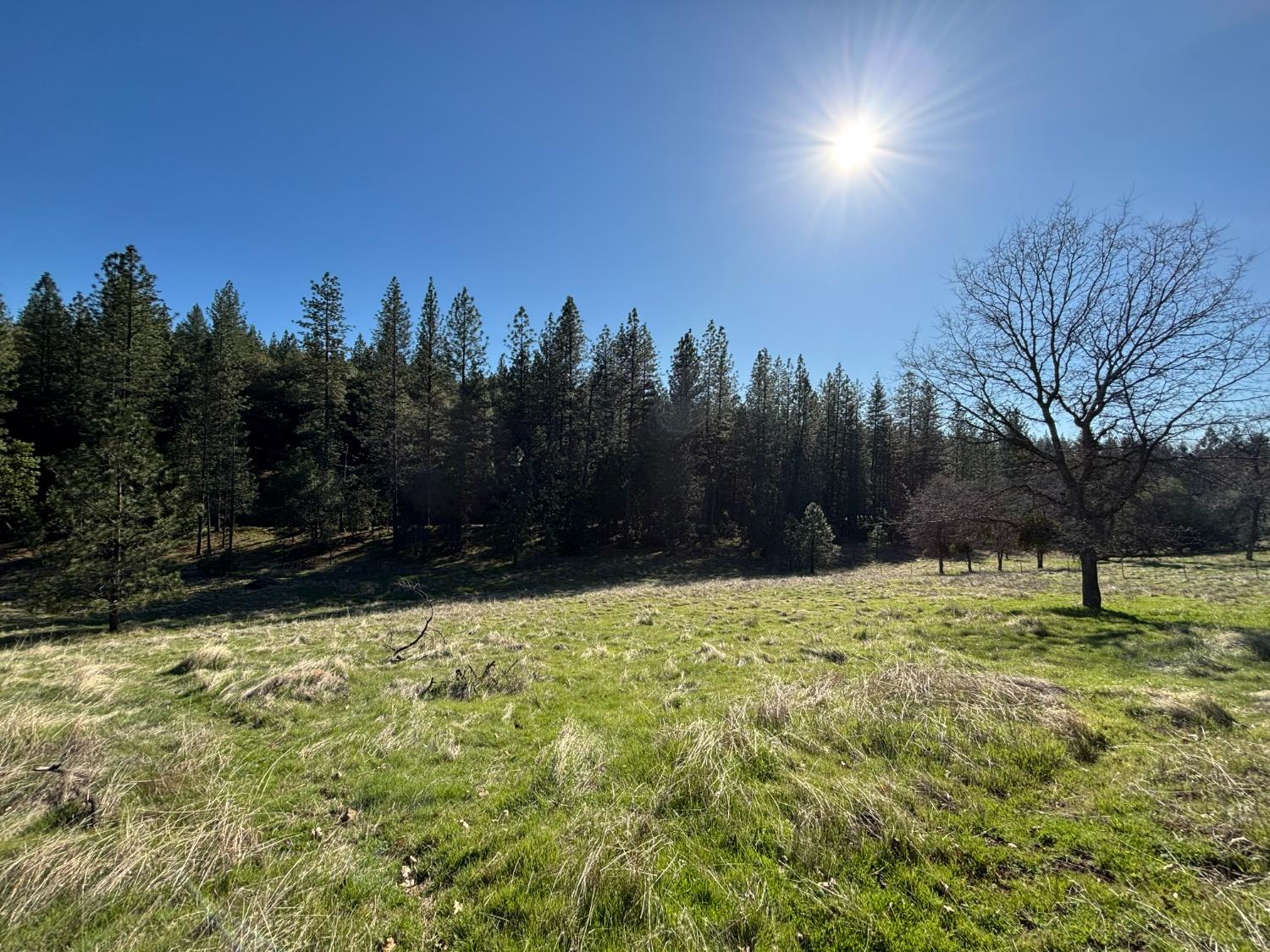 Detail Gallery Image 51 of 51 For 20455 Ponderosa Way, Fiddletown,  CA 95629 - 3 Beds | 2 Baths