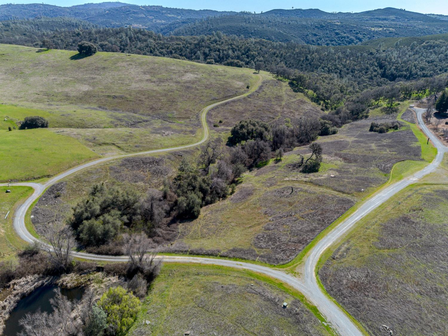 Miners Valley Road, Pilot Hill, California image 3