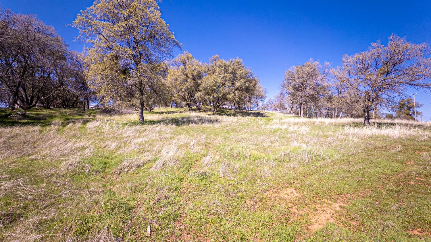 Detail Gallery Image 76 of 88 For 2661 Mountain Oak, Rescue,  CA 95672 - 3 Beds | 3 Baths