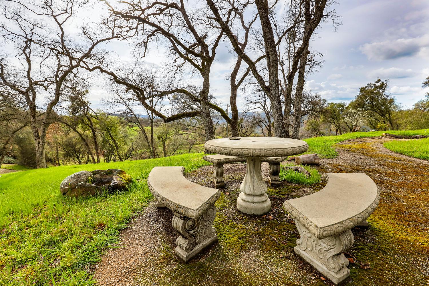 Detail Gallery Image 62 of 86 For 8812 Miwok Trl, Mokelumne Hill,  CA 95245 - 3 Beds | 4 Baths