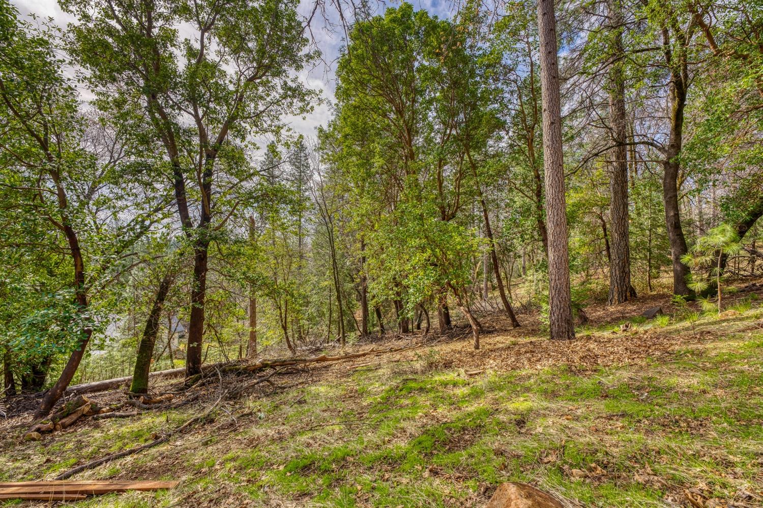 Detail Gallery Image 72 of 83 For 5279 Crestline Dr, Foresthill,  CA 95631 - 3 Beds | 2 Baths