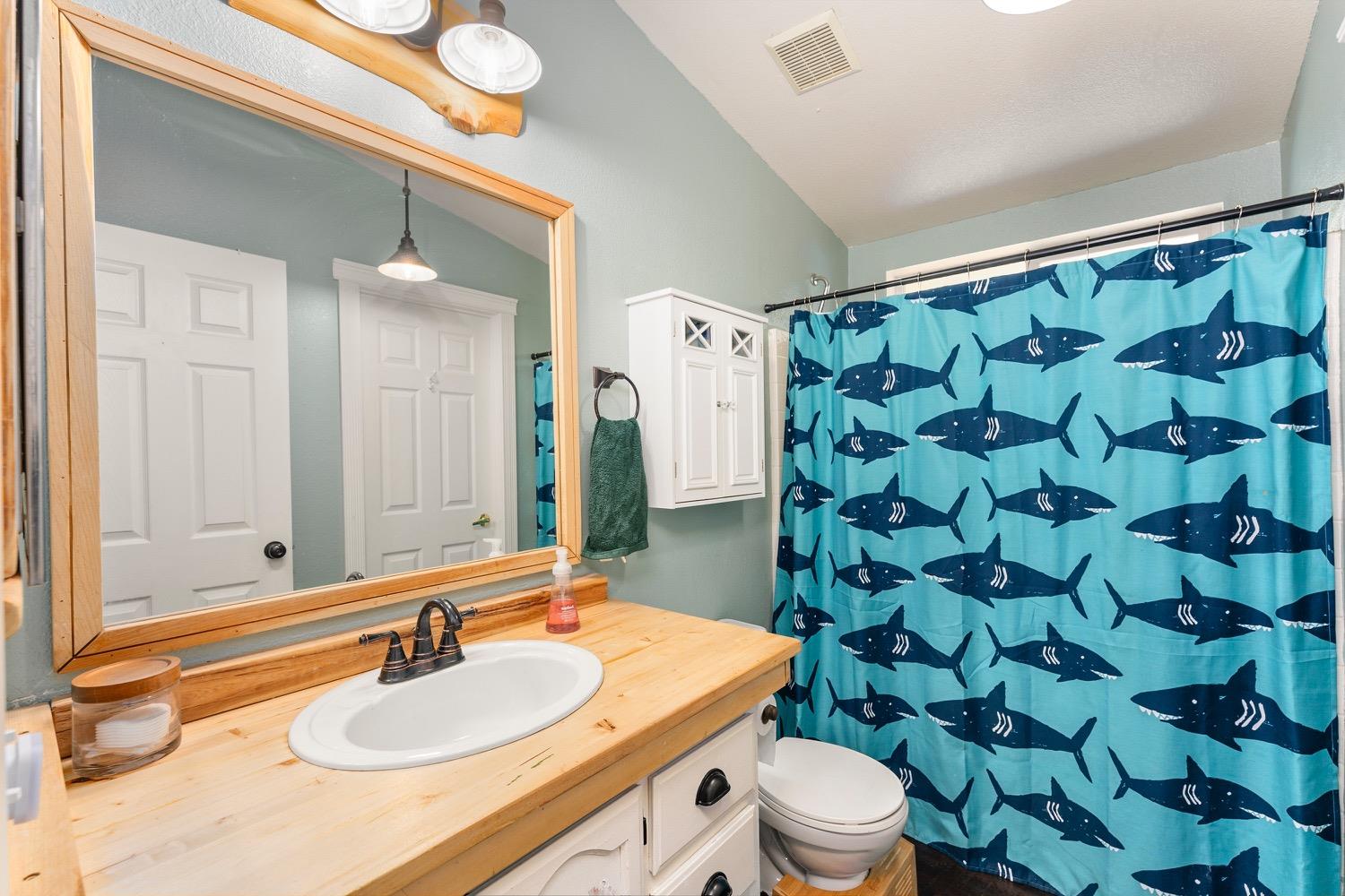 Detail Gallery Image 40 of 83 For 5279 Crestline Dr, Foresthill,  CA 95631 - 3 Beds | 2 Baths