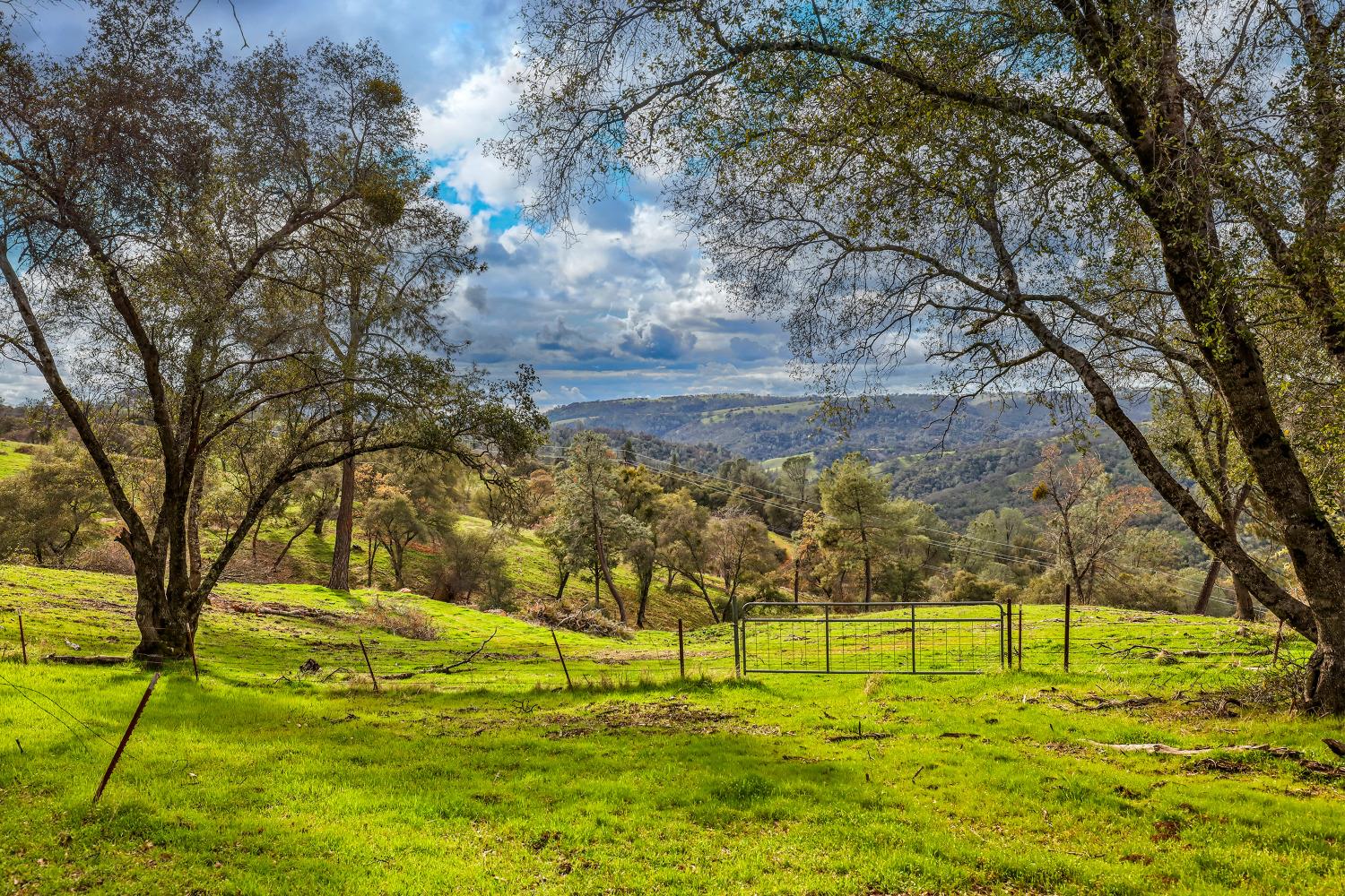 Detail Gallery Image 63 of 86 For 8812 Miwok Trl, Mokelumne Hill,  CA 95245 - 3 Beds | 4 Baths