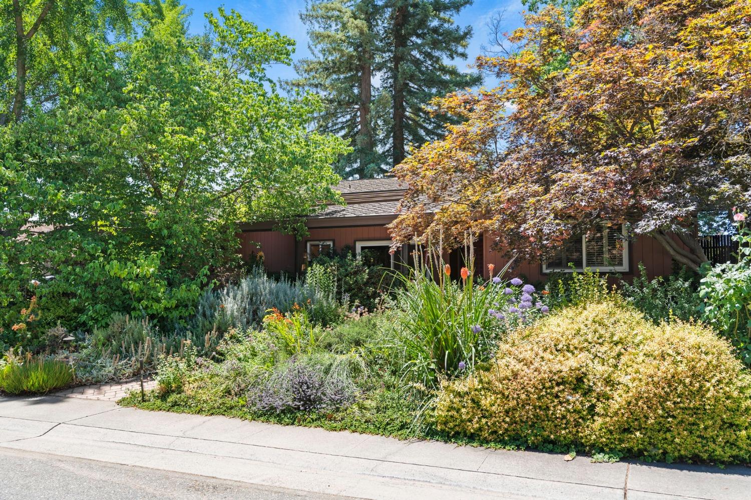 Mira Del Rio Drive, Sacramento, California image 15
