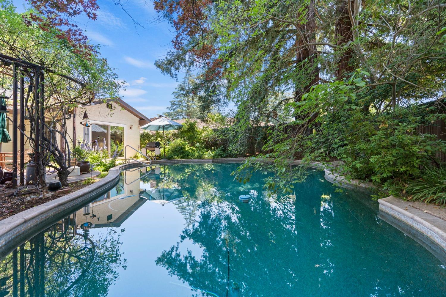 Mira Del Rio Drive, Sacramento, California image 3