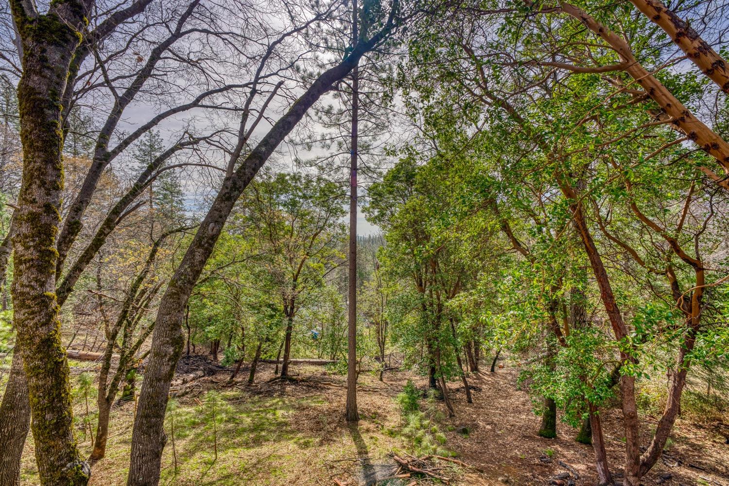 Detail Gallery Image 71 of 83 For 5279 Crestline Dr, Foresthill,  CA 95631 - 3 Beds | 2 Baths