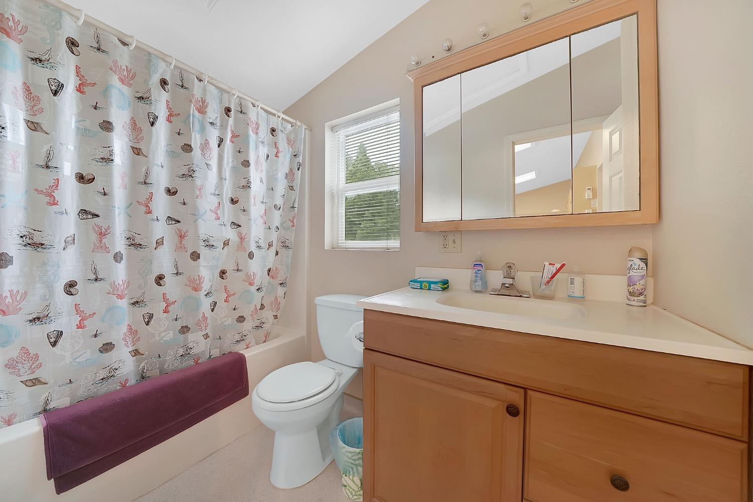 Detail Gallery Image 64 of 98 For 19881 State Highway 88, Pine Grove,  CA 95665 - – Beds | – Baths