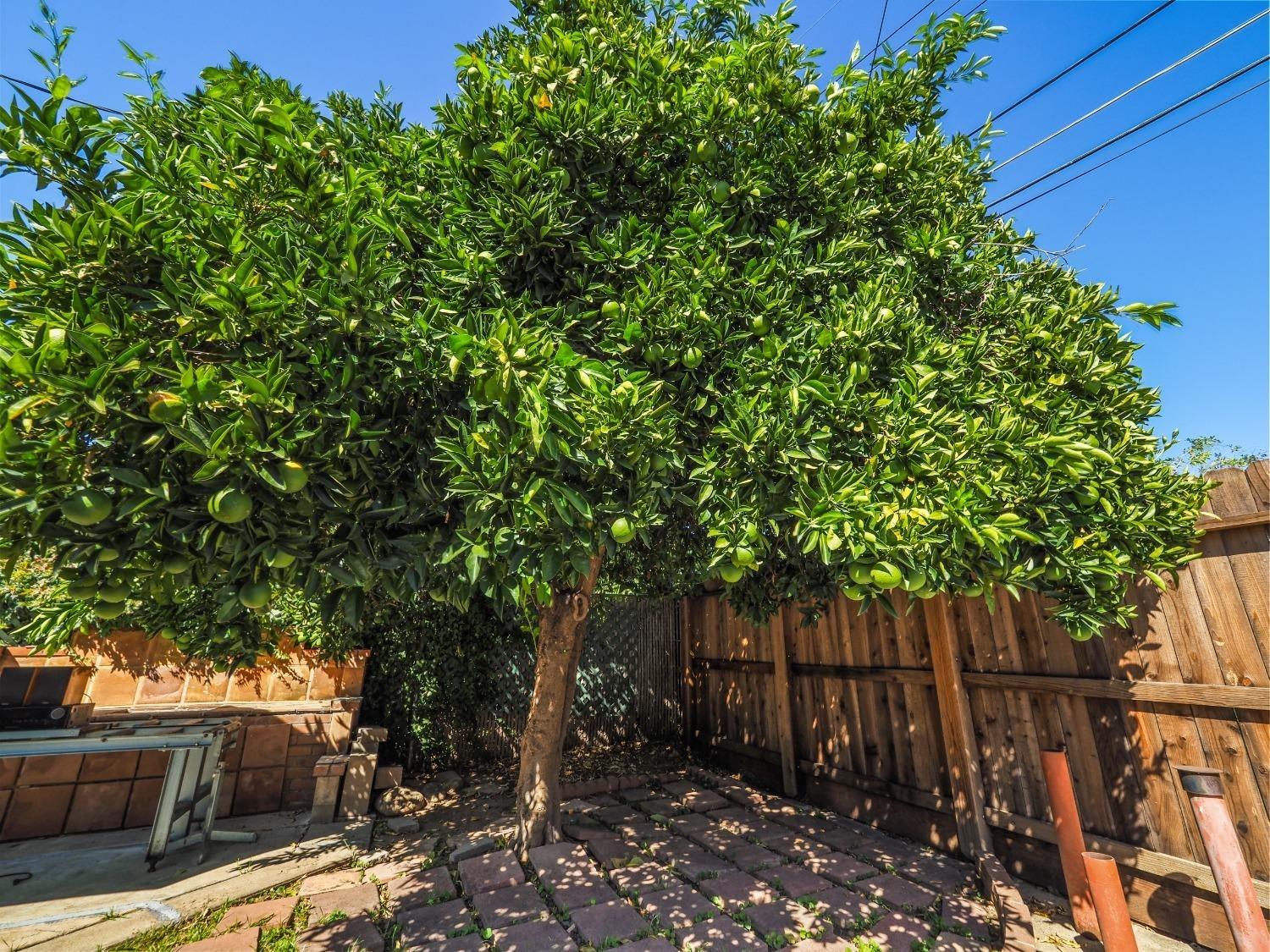 Eastern Avenue, Sacramento, California image 36