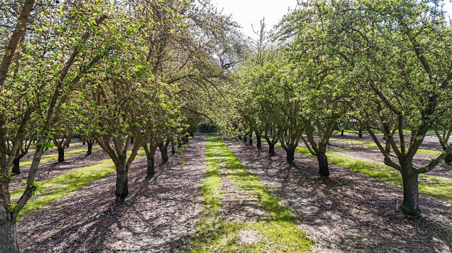 Detail Gallery Image 66 of 80 For 13419 Bentley St, Waterford,  CA 95386 - 3 Beds | 2 Baths