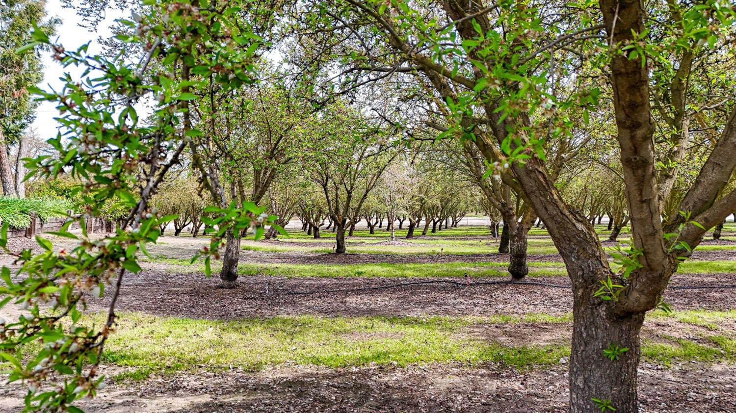 Detail Gallery Image 80 of 80 For 13419 Bentley St, Waterford,  CA 95386 - 3 Beds | 2 Baths
