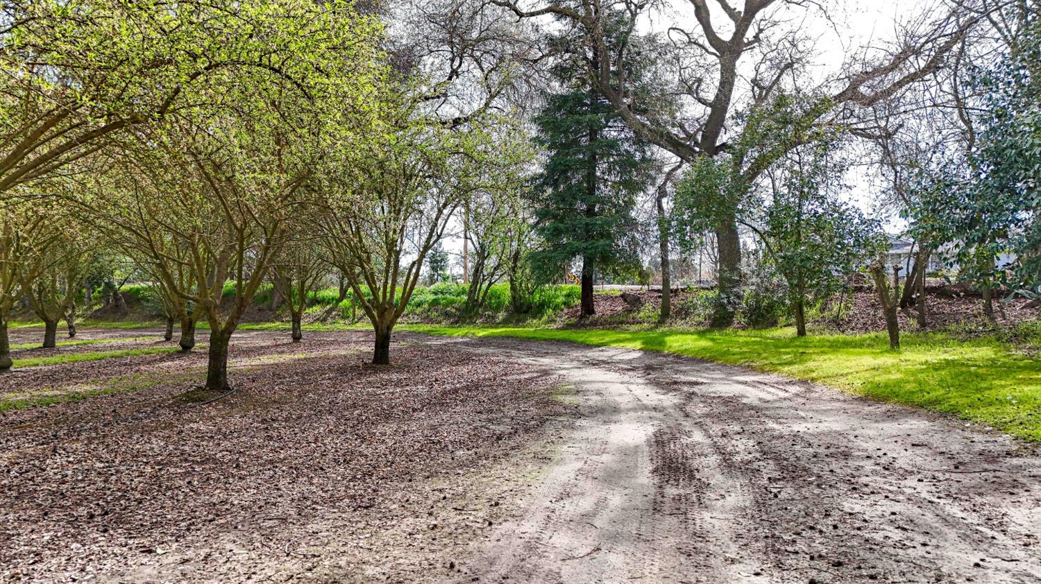 Detail Gallery Image 58 of 80 For 13419 Bentley St, Waterford,  CA 95386 - 3 Beds | 2 Baths